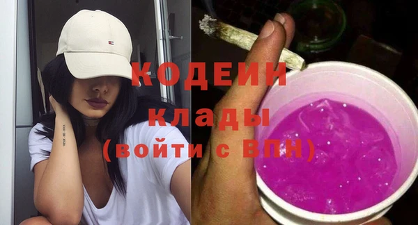 СК Медвежьегорск