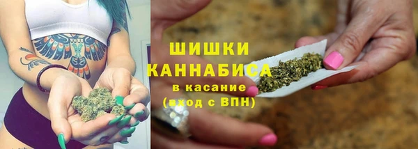 PSILOCYBIN Майский