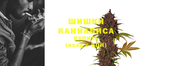гидра Магас