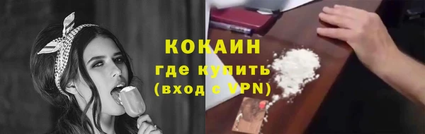 PSILOCYBIN Майский