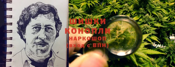 стафф Гусь-Хрустальный