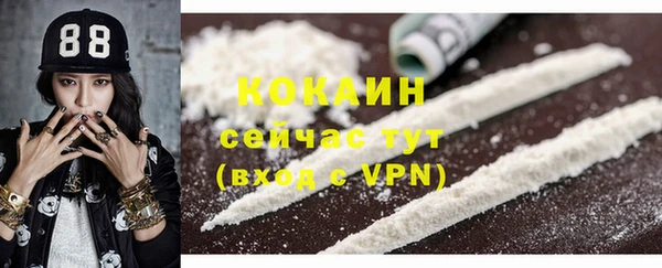 бошки Гусев