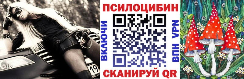как найти наркотики  Галич  Псилоцибиновые грибы мицелий 