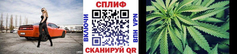 Марихуана сатива  где купить наркоту  Галич 